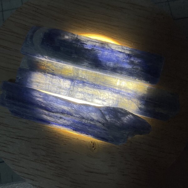 画像3: ★寒中おみまい標本セット