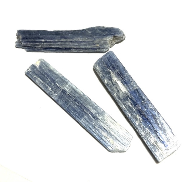 画像: ★寒中おみまい標本セット