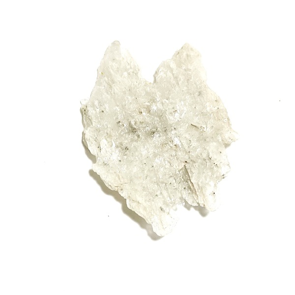 画像3: ★寒中おみまい標本セット