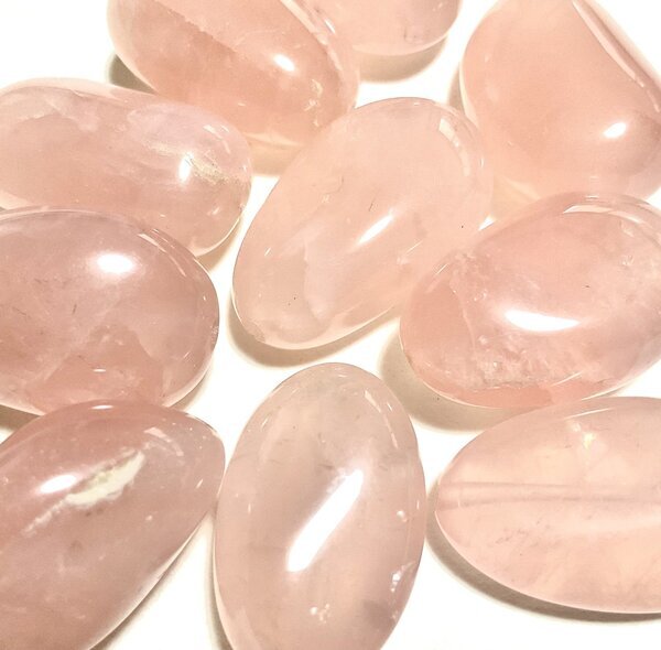 画像5: ★お菓子な猫お菓子手帖《予告編》