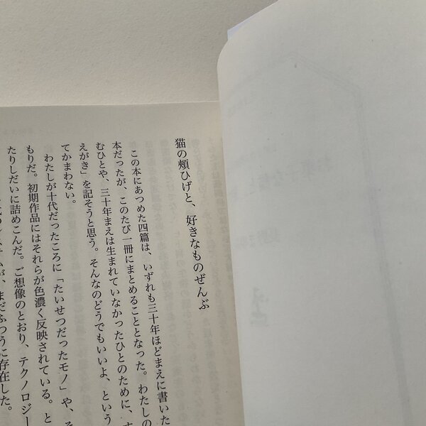 画像3: ★サイン票付き文庫『お菓子な猫と、旅する少年』