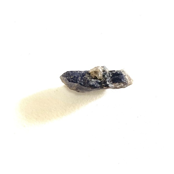 画像3: ★「函ノ森　夏」（2025年）標本セット