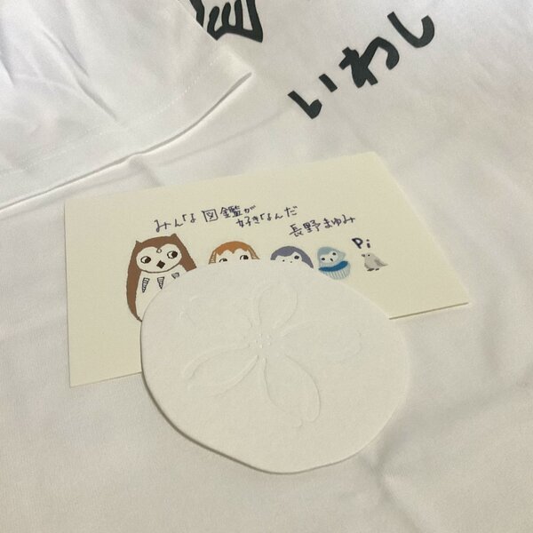 画像: ★長野まゆみイラストカード＆Tシャツset