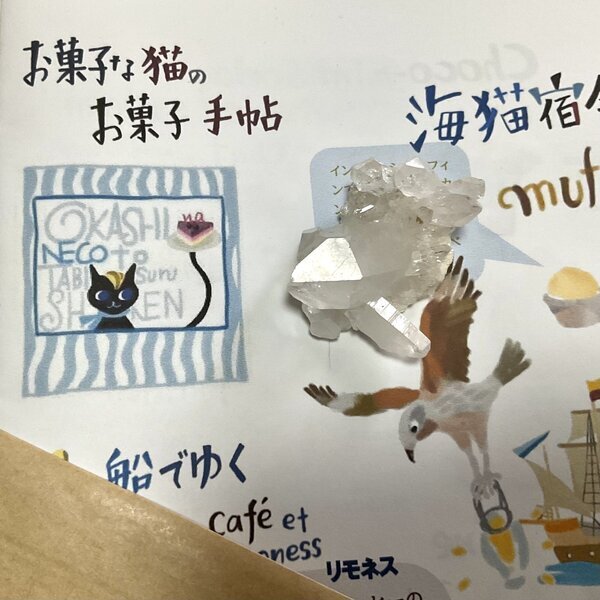 画像1: ★新作「お菓子な猫のお菓子手帖」