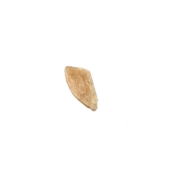 画像: ★新作「お菓子な猫のお菓子手帖」