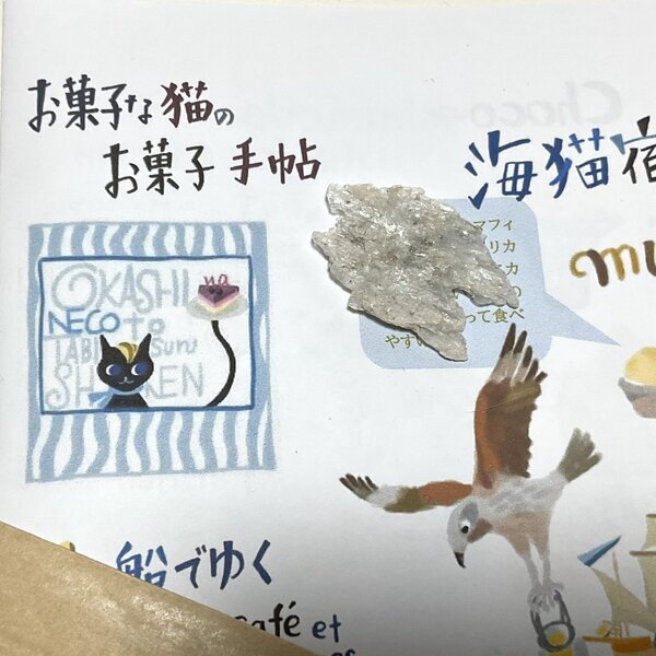 画像1: ★新作「お菓子な猫のお菓子手帖」