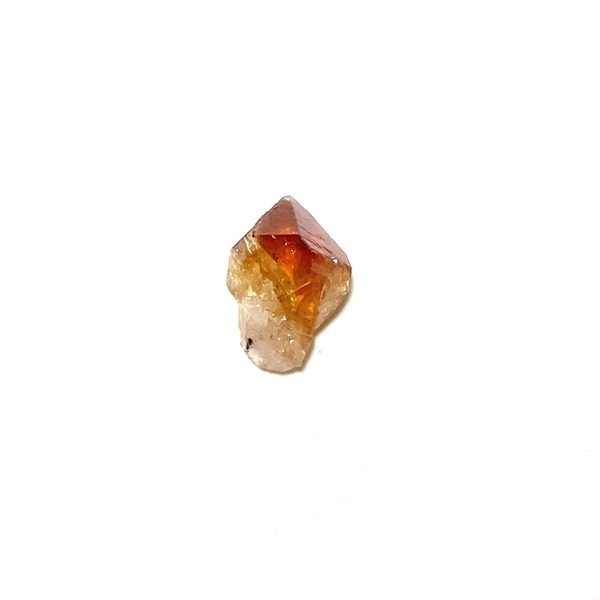 画像: ★新作「お菓子な猫のお菓子手帖」