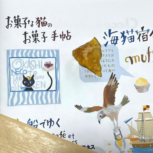 画像1: ★新作「お菓子な猫のお菓子手帖」