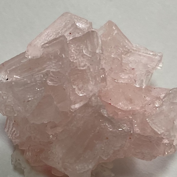 画像4: ★「お菓子な猫のお菓子手帖」