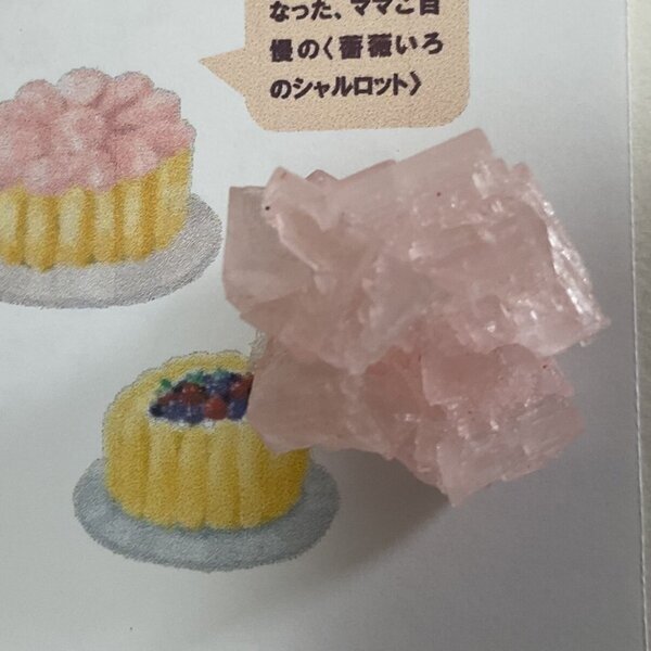 画像: ★「お菓子な猫のお菓子手帖」