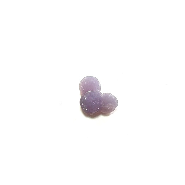 画像: ★「お菓子な猫のお菓子手帖」