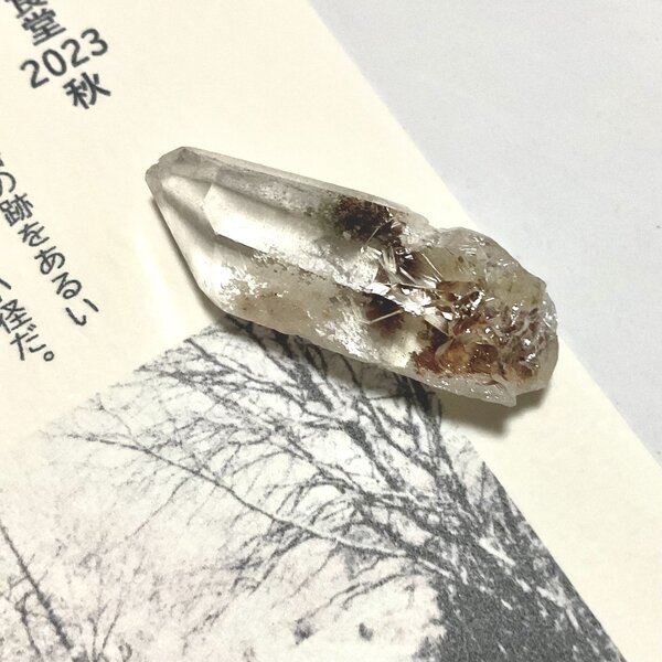 画像3: ★「少年電氣食堂2023 秋」標本セット