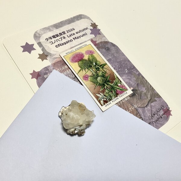 画像4: 新作★少年電氣食堂 「コノハブネ」set 09