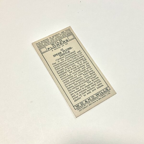 画像8: 新作★少年電氣食堂 「コノハブネ」set 09