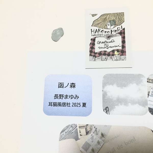 画像1: ★「函ノ森　夏」標本セット