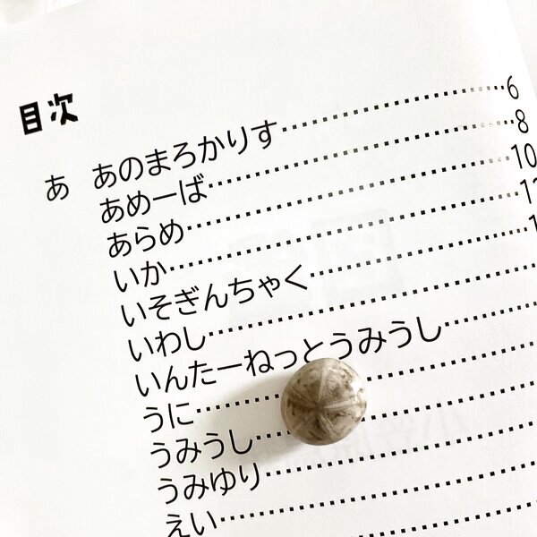 画像: ★帯文/長野まゆみ・小笠原鳥類/著「図鑑」うにset